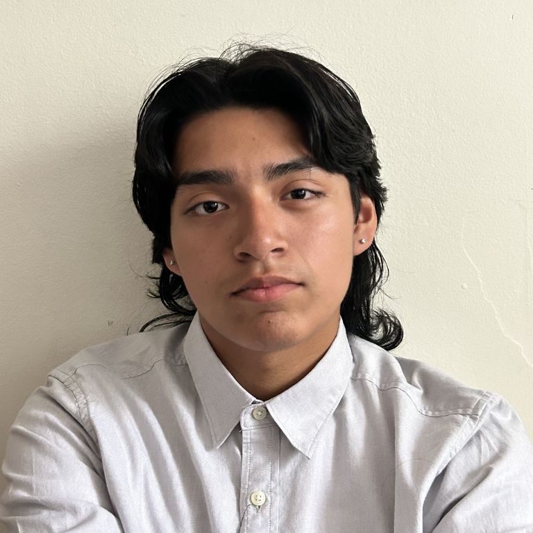 Commitee Chair Alexander Lopez Solano
