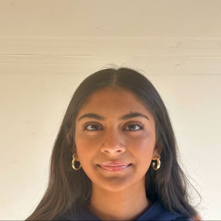 Commitee Chair Suneri Desai